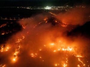 2025-03-25t124052z-1284779851-rc2ckdamjlxp-rtrmadp-3-southkorea-fire.jpg