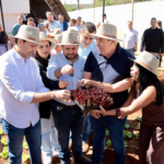 Captura-de-tela-2025-09-04-105747.png