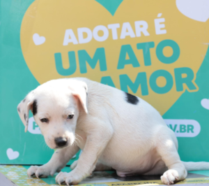 Captura-de-tela-2025-09-26-175128.png