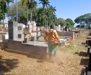 Captura-de-tela-2025-10-06-171405.png
